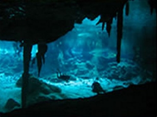 Buceo en cenotes de aventura